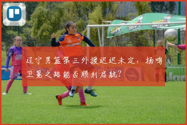 辽宁男篮第三外援迟迟未定,杨鸣卫冕之路能否顺利启航?