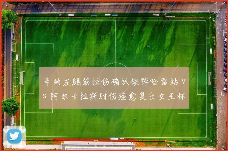 辛纳左腿筋拉伤确认缺阵哈雷站 vs 阿尔卡拉斯肘伤痊愈复出女王杯,草地备战步调不一